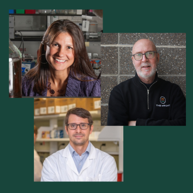 Three separate images of professors are collaged into one picture on a green backgroun. 